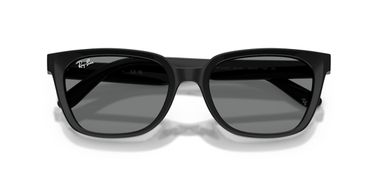 Ray-Ban 0RB 2243D 901/87 55 Kadın Güneş Gözlüğü