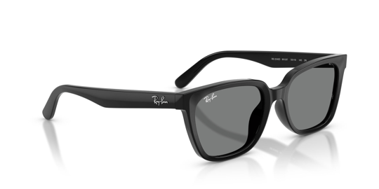 Ray-Ban 0RB 2243D 901/87 55 Kadın Güneş Gözlüğü