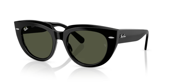 Ray-Ban 0RB 2286 901/31 49 Kadın Güneş Gözlüğü