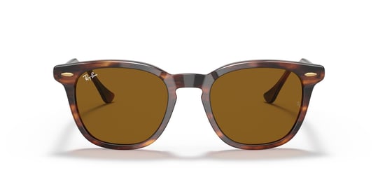 Ray-Ban 0RB 2298 954/33 52 Unisex Güneş Gözlüğü