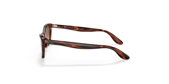 Ray-Ban 0RB 2299 954/51 52 Unisex Sunglasses