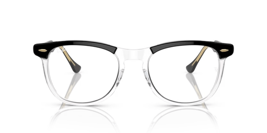 Ray-Ban 0RB 2398 1294/GJ 53 Unisex Güneş Gözlüğü