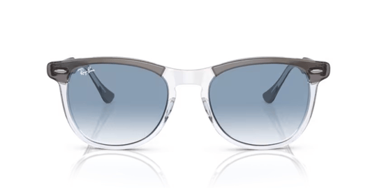 Ray-Ban 0RB 2398 1355/3F 53 Unisex Güneş Gözlüğü