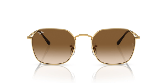 Ray-Ban 0RB 3694 JIM 001/51 55 Unisex Sunglasses