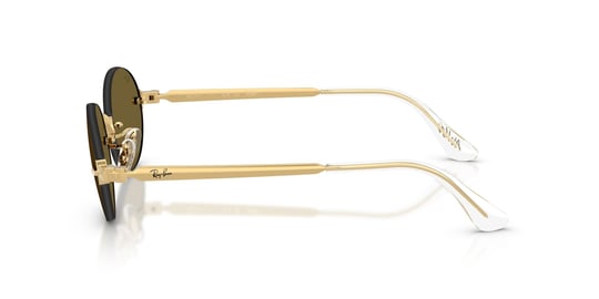 Ray-Ban 0RB 3929 001/73 54 Unisex Sunglasses