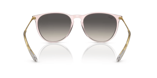Ray-Ban 0RB 4171 6742/11 54 Unisex Güneş Gözlüğü