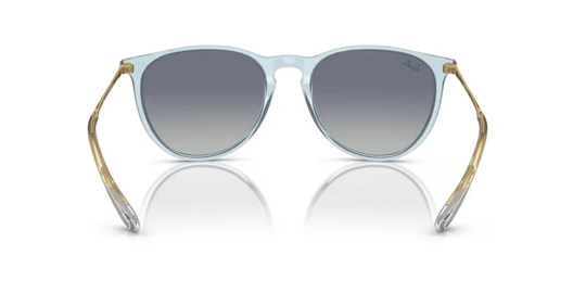 Ray-Ban 0RB 4171 6743/4L 54 Unisex Güneş Gözlüğü