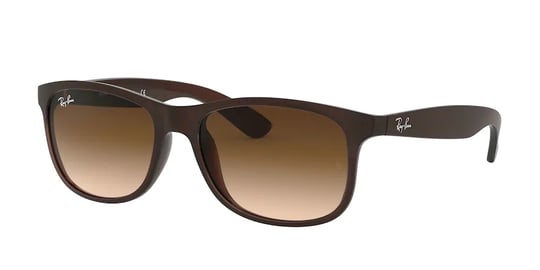 Ray-Ban 0RB 4202 6073/13 55 Unisex