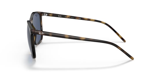 Ray-Ban 0RB 4387 710/80 56 Unisex Güneş Gözlüğü