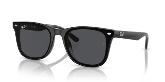 Ray-Ban 0RB 4420 601/87 65 Unisex Sunglasses