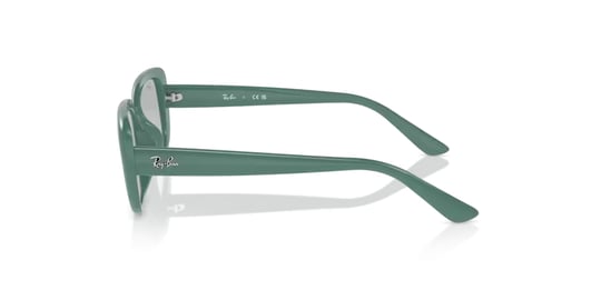 Ray-Ban 0RB 4421D 6762/87 56 Unisex Sunglasses