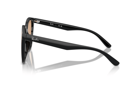 Ray-Ban 0RB 4423D 601/93 66 Unisex Güneş Gözlüğü