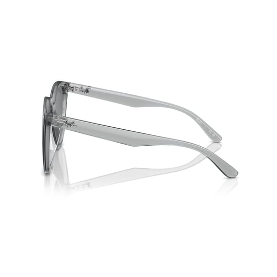 Ray-Ban 0RB 4423D 6450/87 66 Unisex Sunglasses