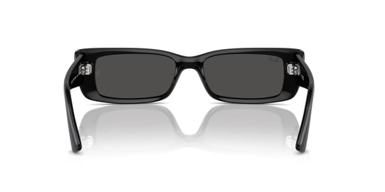 Ray-Ban 0RB 4425 6677/87 54 Unisex Güneş Gözlüğü