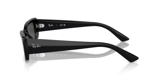 Ray-Ban 0RB 4425 6677/87 54 Unisex Güneş Gözlüğü