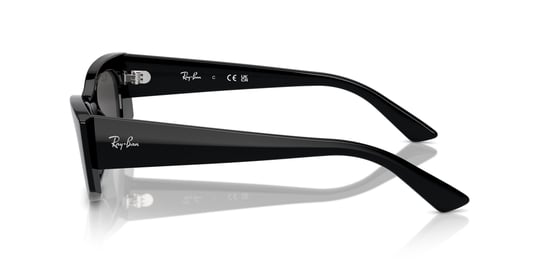 Ray-Ban 0RB 4427 6677/87 49 Kadın Güneş Gözlüğü