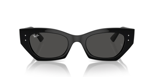 Ray-Ban 0RB 4430 6677/87 52 Unisex Güneş Gözlüğü