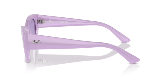 Ray-Ban 0RB 4430 6758/1A 52 Unisex Sunglasses