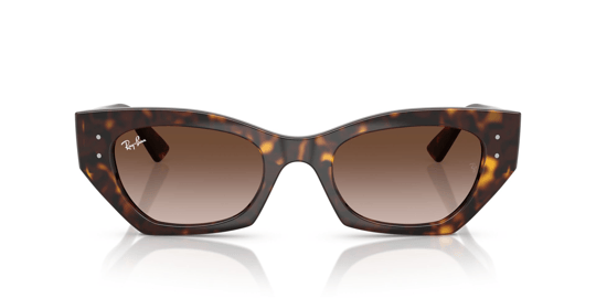 Ray-Ban 0RB 4430 Zena 1359/13 49 Unisex Sunglasses