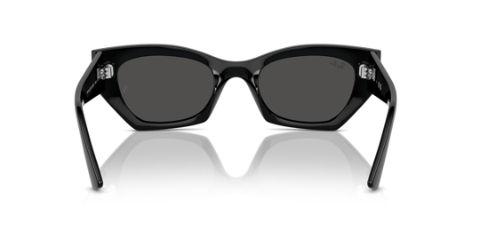 Ray-Ban 0RB 4430 Zena 6677/87 49 Unisex Güneş Gözlüğü