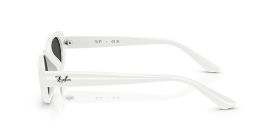 Ray-Ban 0RB 4441D 677287 53 Unisex Güneş Gözlüğü