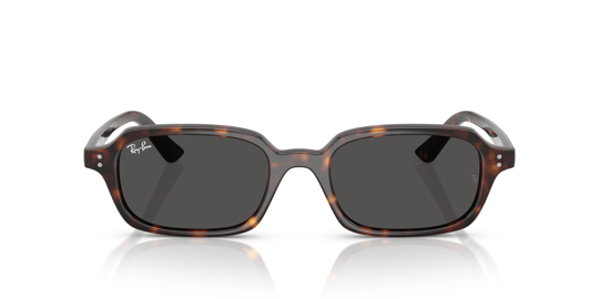 Ray-Ban 0RB 4455 Zuri 1359/87 52 Unisex Güneş Gözlüğü