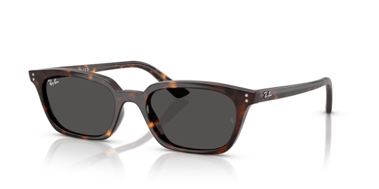 Ray-Ban 0RB 4456 Zaya 1359/87 53 Unisex Sunglasses