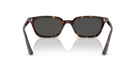 Ray-Ban 0RB 4456 Zaya 1359/87 53 Unisex Sunglasses