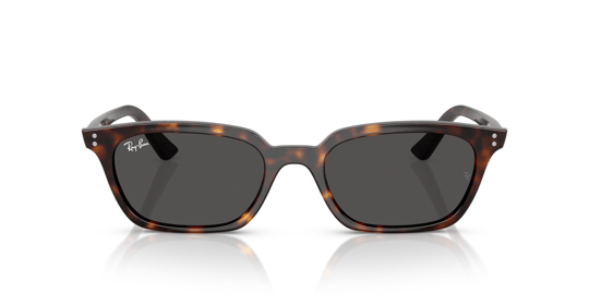 Ray-Ban 0RB 4456 Zaya 1359/87 53 Unisex Sunglasses