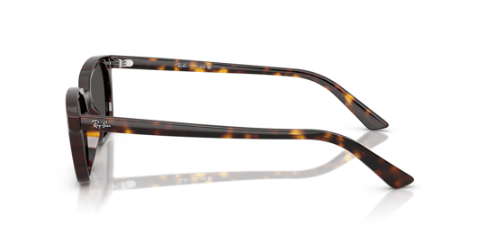 Ray-Ban 0RB 4456 Zaya 1359/87 53 Unisex Sunglasses
