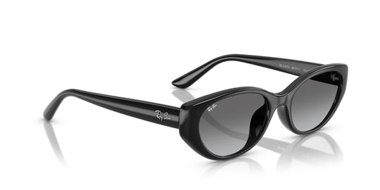 Ray-Ban 0RB 4457D 6677/11 55 Unisex Sunglasses