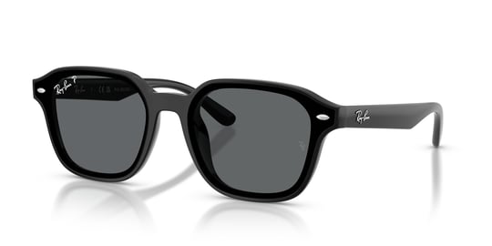 Ray-Ban 0RB 4458D 601/81 65 Unisex Sunglasses