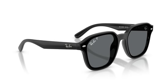 Ray-Ban 0RB 4458D 601/81 65 Unisex Sunglasses