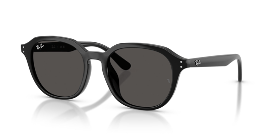 Ray-Ban 0RB 4459D 901/87 54 Unisex Güneş Gözlüğü