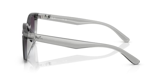 Ray-Ban 0RB 4461D 6450/8G 64 Unisex Sunglasses