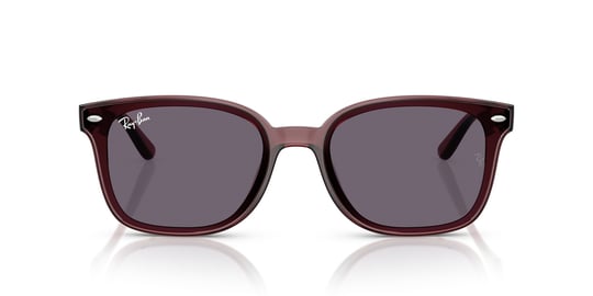 Ray-Ban 0RB 4461D 6593/73 64 Unisex Sunglasses