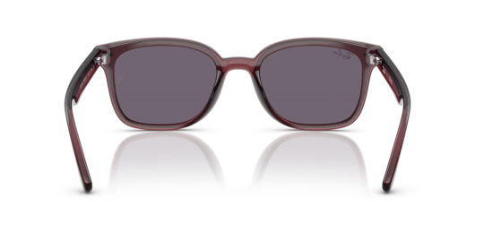 Ray-Ban 0RB 4461D 6593/73 64 Unisex Sunglasses