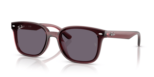 Ray-Ban 0RB 4461D 6593/73 64 Unisex Sunglasses