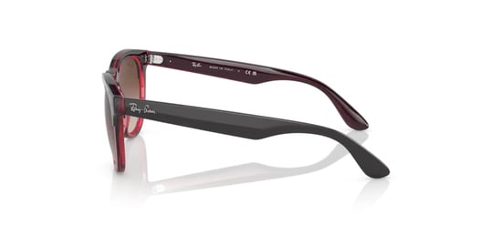 Ray-Ban 0RB 4471 6631/13 54 Unisex Sunglasses