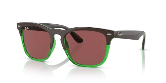 Ray-Ban 0RB 4487 6634/69 54 Unisex