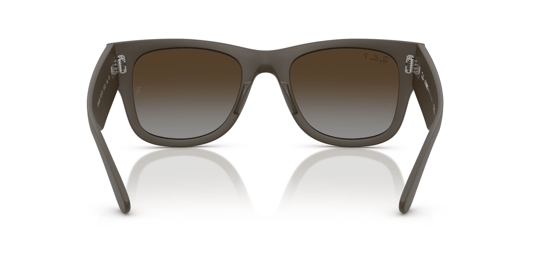 Ray-Ban 0RB 4840-S 6124/T5 50 Unisex Güneş Gözlüğü