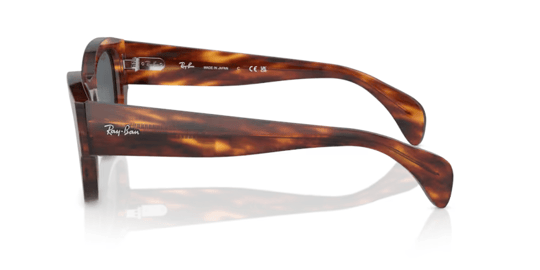 Ray-Ban 0RB 7681S 954/R5 52 Unisex Sunglasses