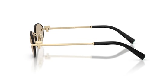 Tiffany & Co 3119D 623911 56 Women Sunglasses