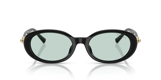 Tiffany & Co 4242-D 8001/D9 54 Women Sunglasses