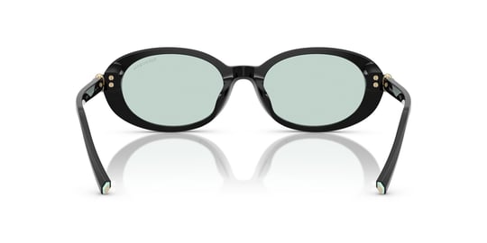 Tiffany & Co 4242-D 8001/D9 54 Women Sunglasses
