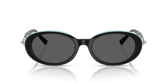 Tiffany & Co 4242-D 8055/S4 54 Women Sunglasses