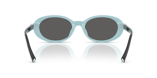 Tiffany & Co 4242-D 8055/S4 54 Women Sunglasses