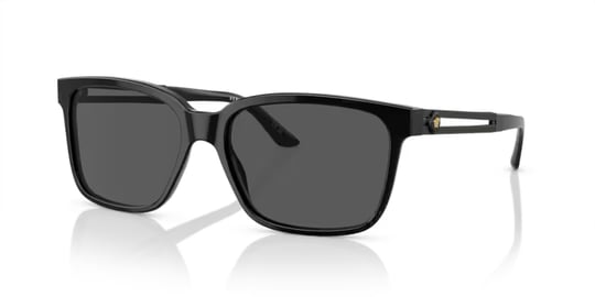 Versace 0VE 4307 5332/87 58 Erkek Güneş Gözlüğü