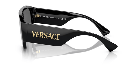 Versace 0VE 4439 GB1/87 53 Unisex Sunglasses