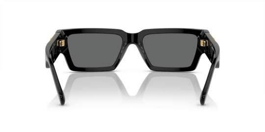 Versace 0VE 4459 GB1/87 54 Unisex Sunglasses